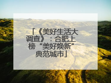 《美好生活大调查》：合肥上榜“美好焕新”典范城市