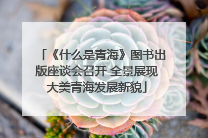 《什么是青海》图书出版座谈会召开 全景展现大美青海发展新貌