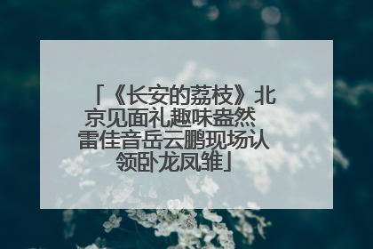 《长安的荔枝》北京见面礼趣味盎然 雷佳音岳云鹏现场认领卧龙凤雏