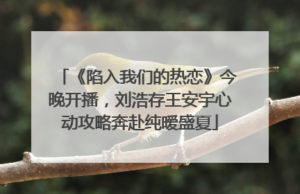 《陷入我们的热恋》今晚开播，刘浩存王安宇心动攻略奔赴纯暧盛夏