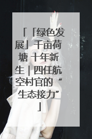 「绿色发展」千亩荷塘 十年新生｜四任航空村官的“生态接力”