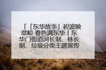 「东华故事」碧波映翠嶂 春色满东华丨东华门街道河长制、林长制、垃圾分类主题宣传如火如荼中