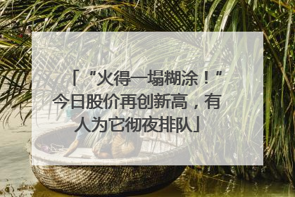 “火得一塌糊涂！”今日股价再创新高，有人为它彻夜排队