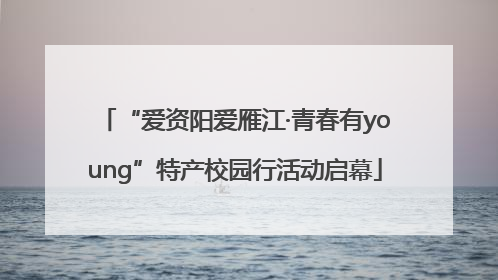 “爱资阳爱雁江·青春有young”特产校园行活动启幕