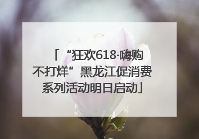 “狂欢618·嗨购不打烊”黑龙江促消费系列活动明日启动