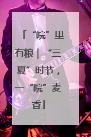 “皖”里有粮｜“三夏”时节，一“皖”麦香