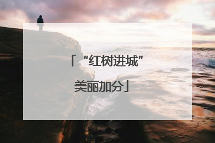 “红树进城” 美丽加分