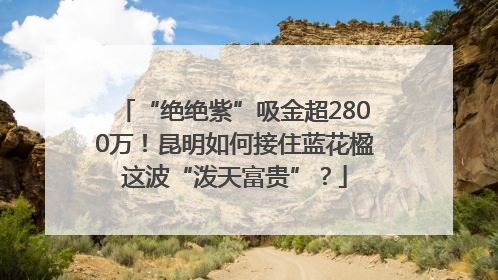 “绝绝紫”吸金超2800万！昆明如何接住蓝花楹这波“泼天富贵”？