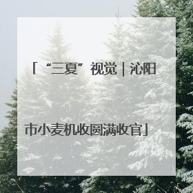 “三夏”视觉｜沁阳市小麦机收圆满收官