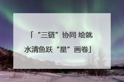 “三链”协同 绘就水清鱼跃“星”画卷