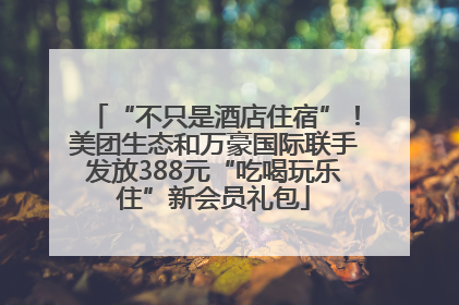 “不只是酒店住宿”！美团生态和万豪国际联手发放388元“吃喝玩乐住”新会员礼包