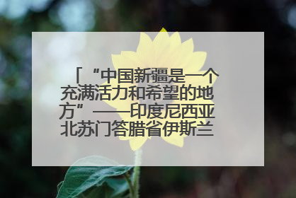 “中国新疆是一个充满活力和希望的地方”——印度尼西亚北苏门答腊省伊斯兰教代表团参访新疆