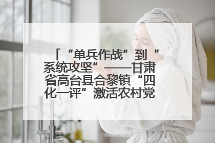 “单兵作战”到“系统攻坚”——甘肃省高台县合黎镇“四化一评”激活农村党员管理新引擎
