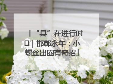 “县”在进行时⑬｜邯郸永年：小螺丝出圈有奇招
