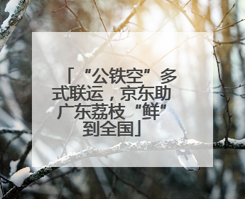 “公铁空”多式联运，京东助广东荔枝“鲜”到全国