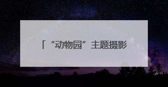“动物园”主题摄影展在清河艺术馆开展