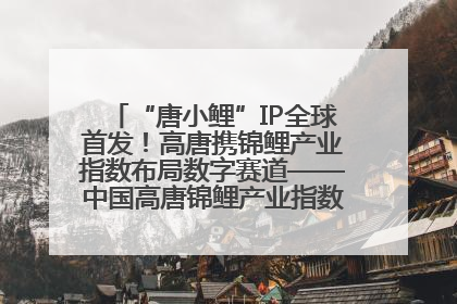 “唐小鲤”IP全球首发！高唐携锦鲤产业指数布局数字赛道——中国高唐锦鲤产业指数暨“唐小鲤”IP全球首发仪式在杭州举行