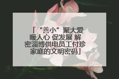 “善小”聚大爱 暖人心 促发展 解密淄博供电员工付珍家庭的文明密码