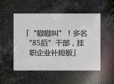 “嗷嗷叫”！多名“85后”干部，挂职企业补短板