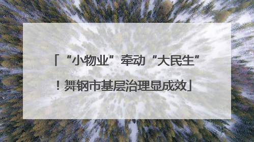“小物业”牵动“大民生”！舞钢市基层治理显成效