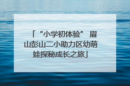 “小学初体验” 眉山彭山二小助力区幼萌娃探秘成长之旅