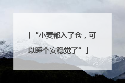 “小麦都入了仓，可以睡个安稳觉了”