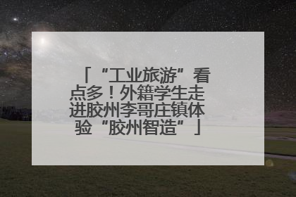 “工业旅游”看点多！外籍学生走进胶州李哥庄镇体验“胶州智造”