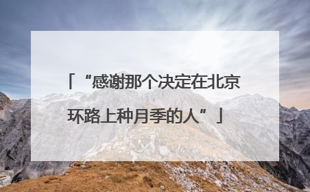 “感谢那个决定在北京环路上种月季的人”