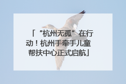 “杭州无孤”在行动！杭州手牵手儿童帮扶中心正式启航