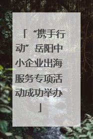 “携手行动”岳阳中小企业出海服务专项活动成功举办