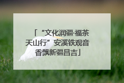 “文化润疆·福茶天山行”安溪铁观音香飘新疆昌吉