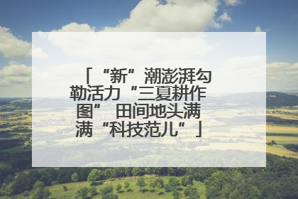 “新”潮澎湃勾勒活力“三夏耕作图” 田间地头满满“科技范儿”
