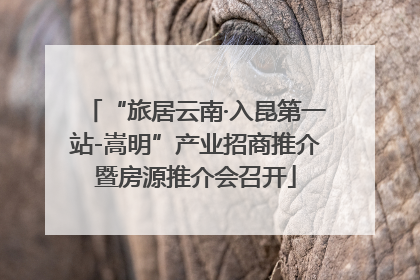 “旅居云南·入昆第一站-嵩明”产业招商推介暨房源推介会召开