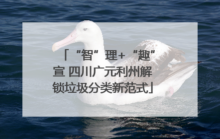 “智”理+“趣”宣 四川广元利州解锁垃圾分类新范式