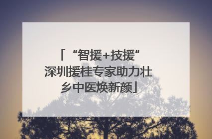 “智援+技援” 深圳援桂专家助力壮乡中医焕新颜