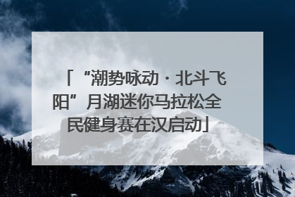 “潮势咏动・北斗飞阳”月湖迷你马拉松全民健身赛在汉启动