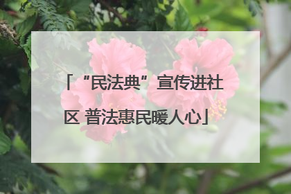 “民法典”宣传进社区 普法惠民暖人心
