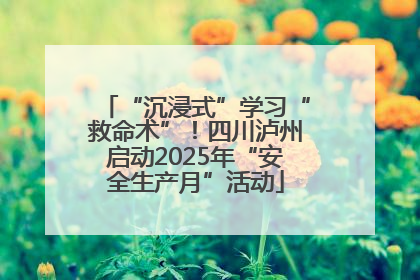 “沉浸式”学习“救命术”！四川泸州启动2025年“安全生产月”活动