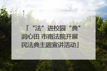 “法”进校园“典”润心田 市南法院开展民法典主题宣讲活动