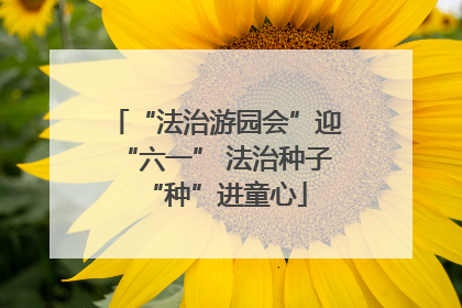 “法治游园会”迎“六一” 法治种子“种”进童心