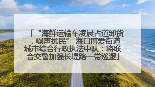 “海鲜运输车凌晨占道卸货，噪声扰民” 海口博爱街道城市综合行政执法中队：将联合交警加强长堤路一带巡逻