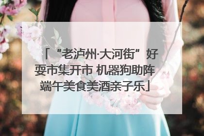 “老泸州·大河街”好耍市集开市 机器狗助阵端午美食美酒亲子乐