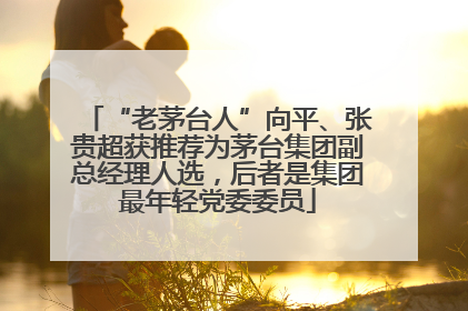 “老茅台人”向平、张贵超获推荐为茅台集团副总经理人选，后者是集团最年轻党委委员