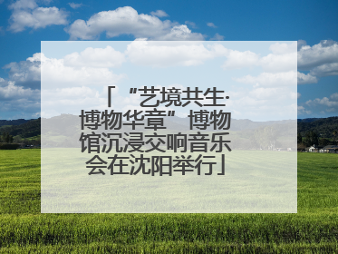 “艺境共生·博物华章”博物馆沉浸交响音乐会在沈阳举行