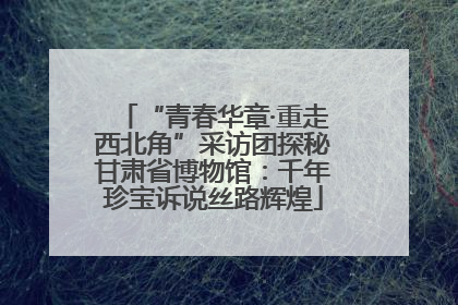 “青春华章·重走西北角”采访团探秘甘肃省博物馆：千年珍宝诉说丝路辉煌
