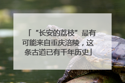 “长安的荔枝”最有可能来自重庆涪陵，这条古道已有千年历史