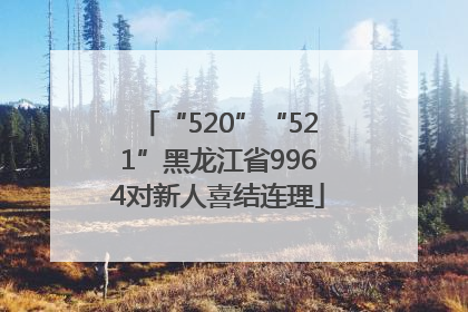 “520”“521”黑龙江省9964对新人喜结连理