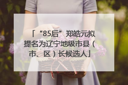“85后”郑皓元拟提名为辽宁地级市县（市、区）长候选人