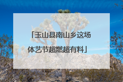 玉山县南山乡这场体艺节超燃超有料