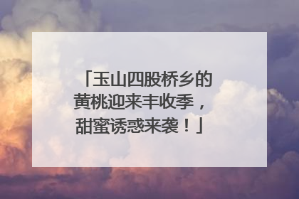 玉山四股桥乡的黄桃迎来丰收季，甜蜜诱惑来袭！